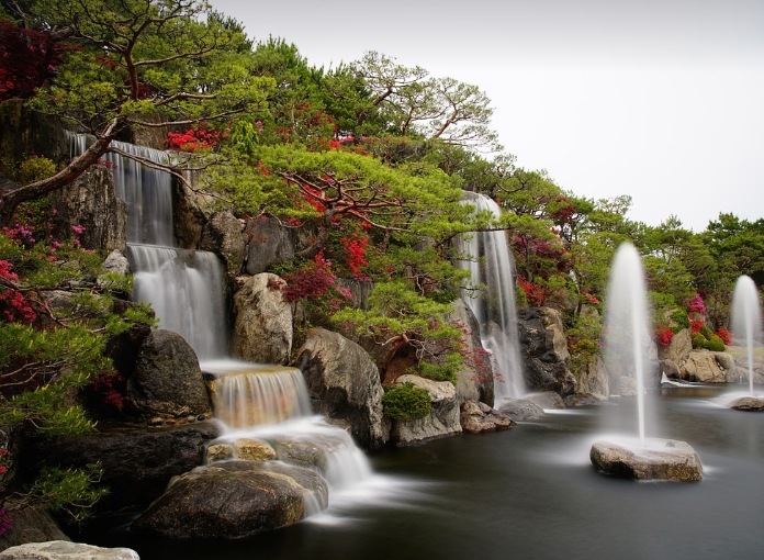 邛崃市花卉绿植怎么选择